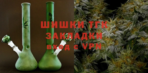 мдпв Верхний Тагил