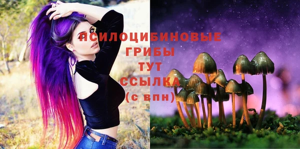 соль курить ск Верея