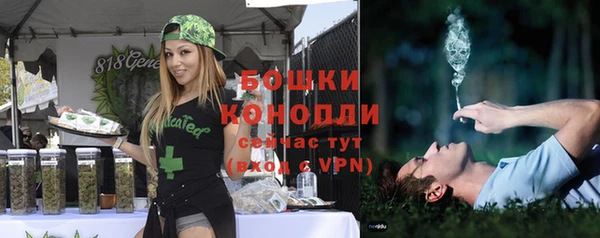 индика Волоколамск
