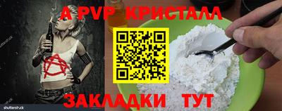 мет Кингисепп