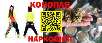 мет Кингисепп